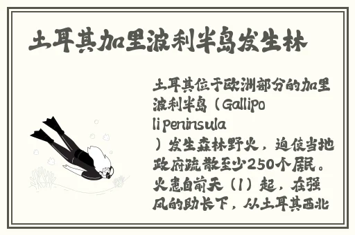 两性午夜刺激爽爽视频